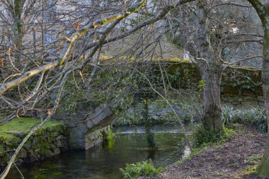 Bereketli bir ormanda şelalesi olan bir nehrin üzerindeki ahşap köprü.