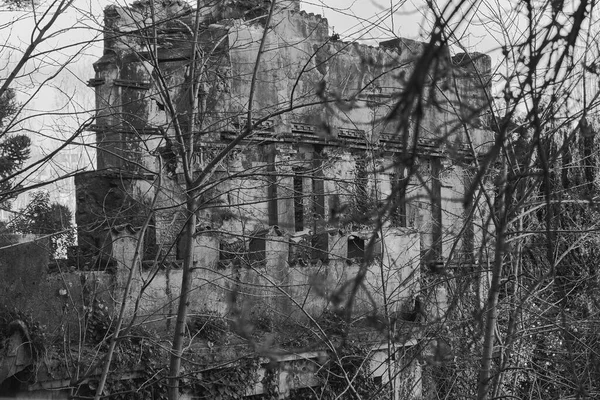 Ancien Bâtiment Ruine Abandonné Dans Une Forêt — Photo