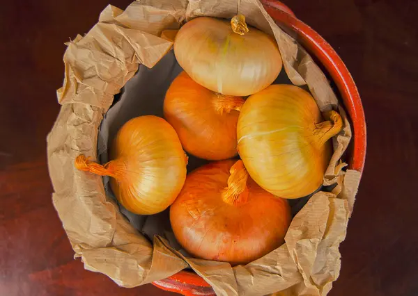 Çeşitli soğanlı kil kase.