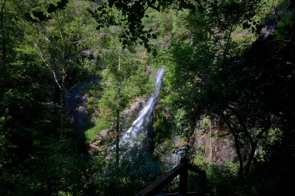 Río Con Cascada Exuberante Bosque — Foto de Stock