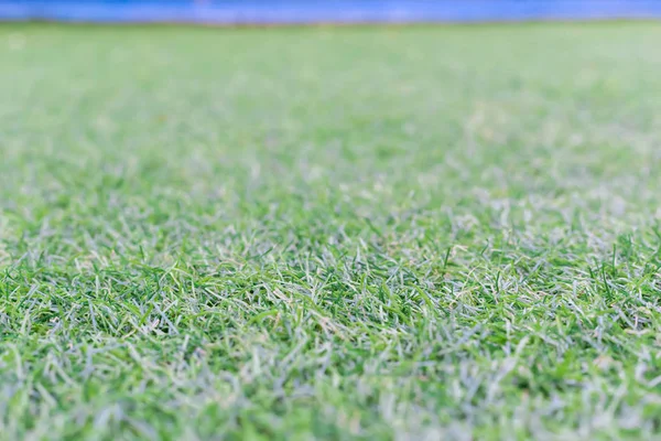 Old artificial grass — Stock Photo, Image