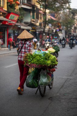 Vietnamlı bir kadın, doğrudan Hanoi sokaklarında bisiklet sürerek sebze ve ot satıyor.