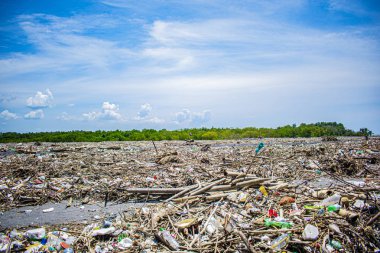 Sahilde insan pislikleri var.