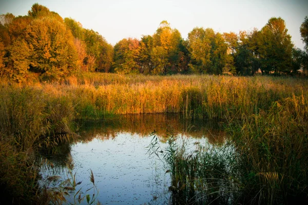 Gölü Olan Güzel Sonbahar Manzarası — Stok fotoğraf