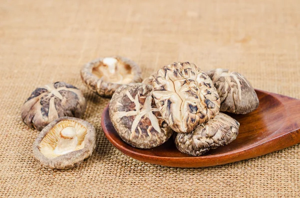 Dried shiitake mushroom — Stock Photo, Image