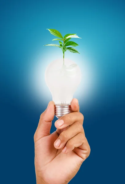 Energie a ochranu životního prostředí koncepce. — Stock fotografie