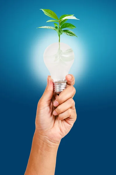 Erneuerbare Energien und Umweltschutzkonzept. — Stockfoto