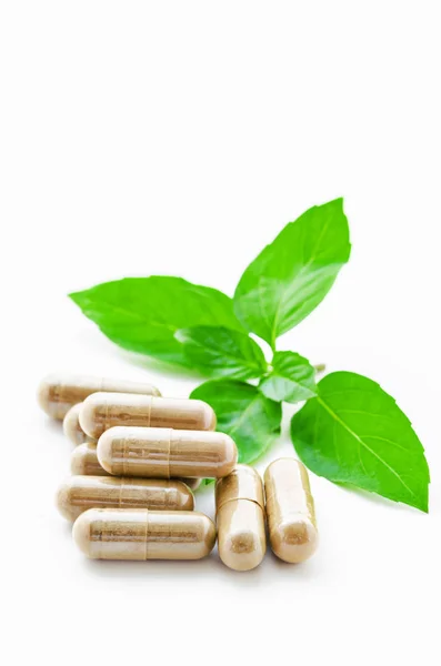 Herbal medicine in capsules with herb. — Stock Photo, Image