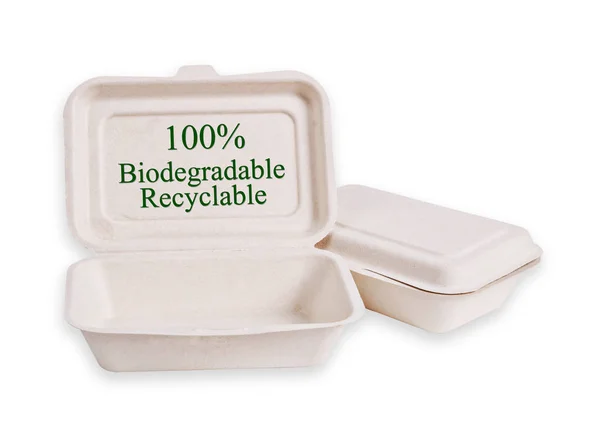 Caja de Bagasse para alimentos aislados . —  Fotos de Stock