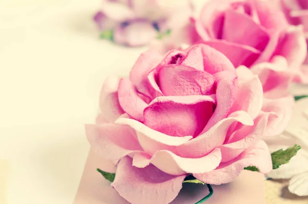 Belles roses roses. — Photo