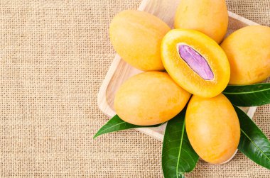 Taze marian Erik görüntüsünü.