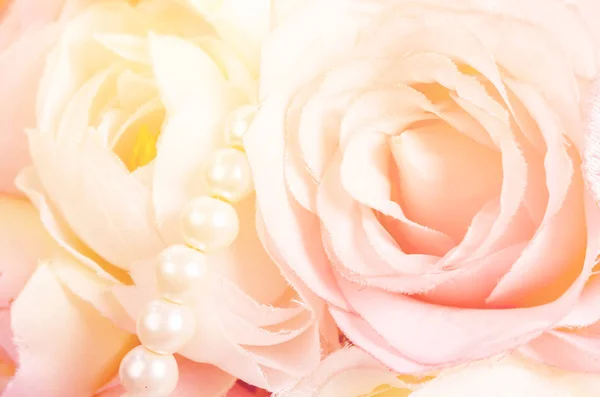 Rosen in süßer Farbe. — Stockfoto