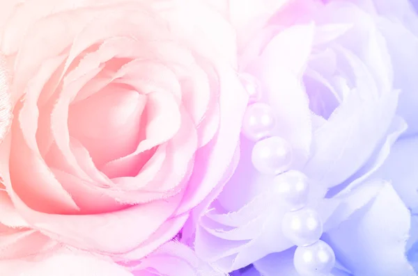 Rosen in süßer Farbe. — Stockfoto