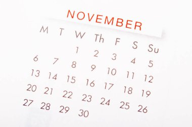 Kasım takvim sayfası.