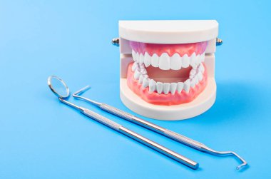 Beyaz dişler modeli ve diş instrumentw.