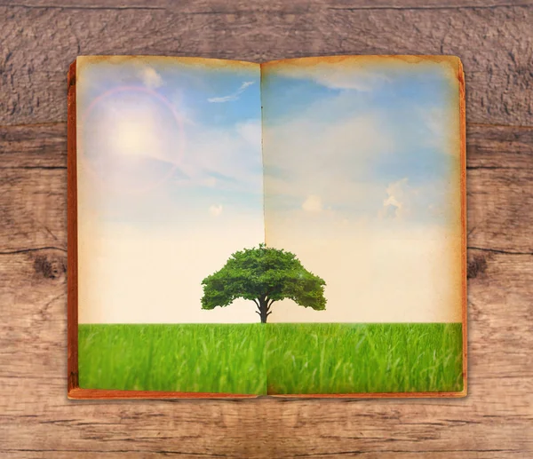 Save paper Save tree concept. — Stock Photo, Image