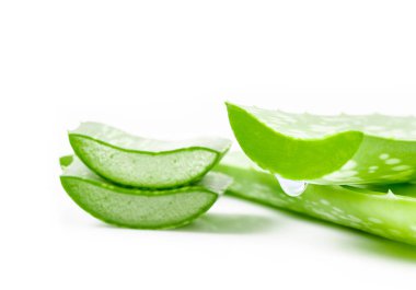 Aloe vera taze yaprak. beyaz üzerinde izole