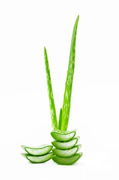 Fatia Aloe vera fresco . — Fotografia de Stock