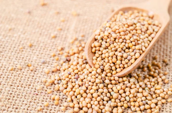 Mustard seeds in wooden scoope — Stock Photo, Image