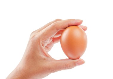 el üstünde izole beyaz yumurta 