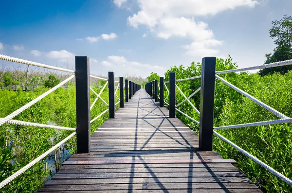 Brug tussen van mangrove. — Stockfoto