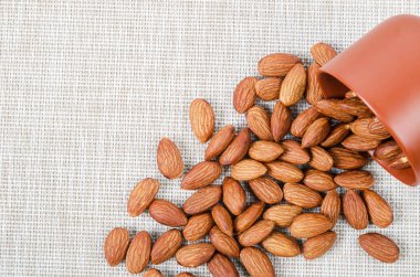 Kahverengi kase ile badem tohumu.