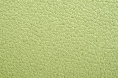 Arkaplan olarak yeşil deri dokusu.