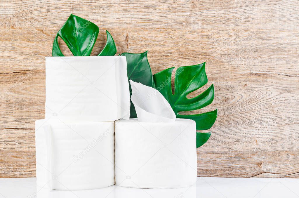 White kitchen paper towel, toilet paper, paper tissues, cotton pads and green leaves on a wooden table