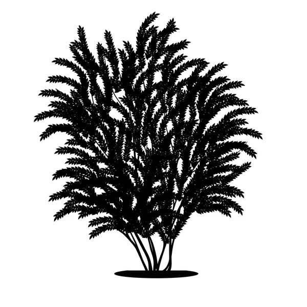 Arbusto de silhueta com folhas e sombra — Vetor de Stock