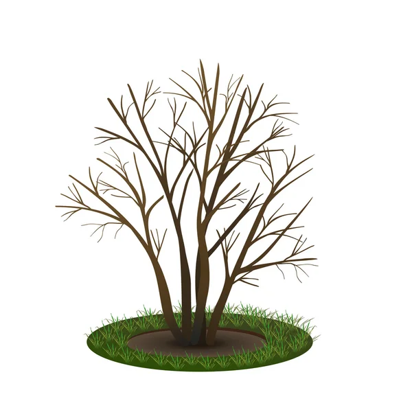 Arbusto com sombra sem folhas — Vetor de Stock