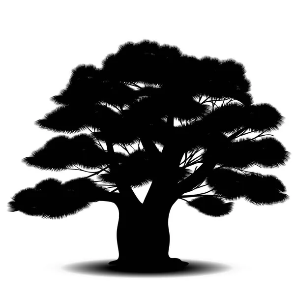 Árvore de cedro silhueta com agulhas verdes — Vetor de Stock