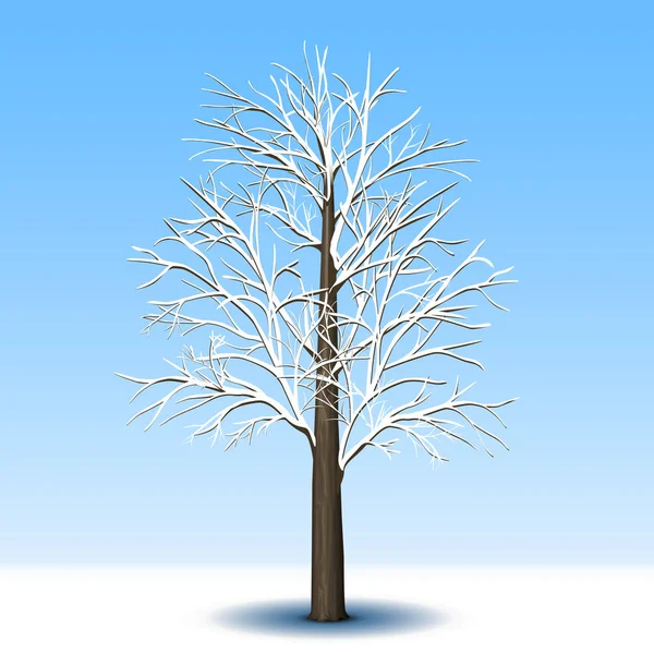 Árbol separado sin hojas en escarcha — Vector de stock