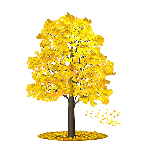 Tilo de árbol separado con hojas rojas y amarillas en un respaldo blanco — Vector de stock