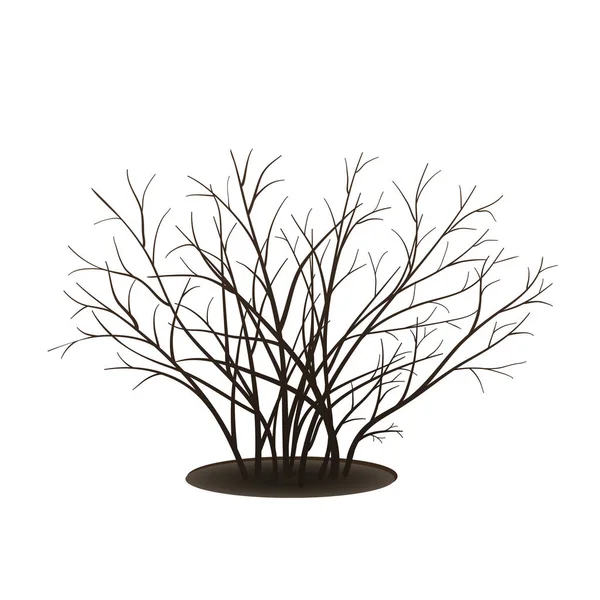 Bush with shadow without leaves — Stock Vector