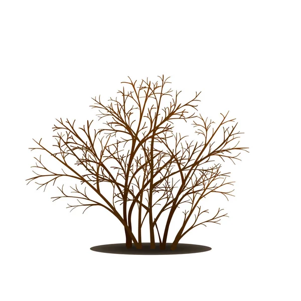 Bush with shadow without leaves — Stock Vector
