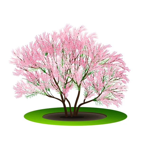 Bush met groene bladeren en bloemen — Stockvector