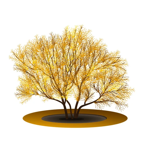 Arbusto con hojas amarillas y sombra — Vector de stock