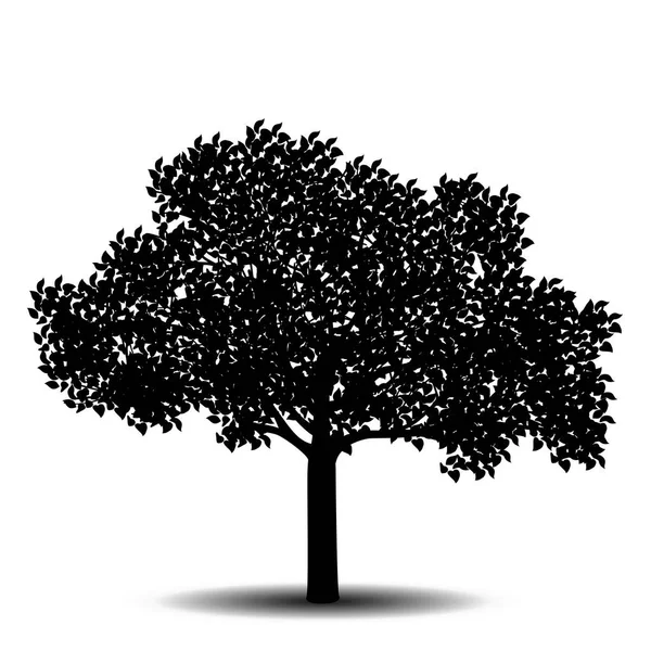 Silueta árbol separado con hojas — Vector de stock