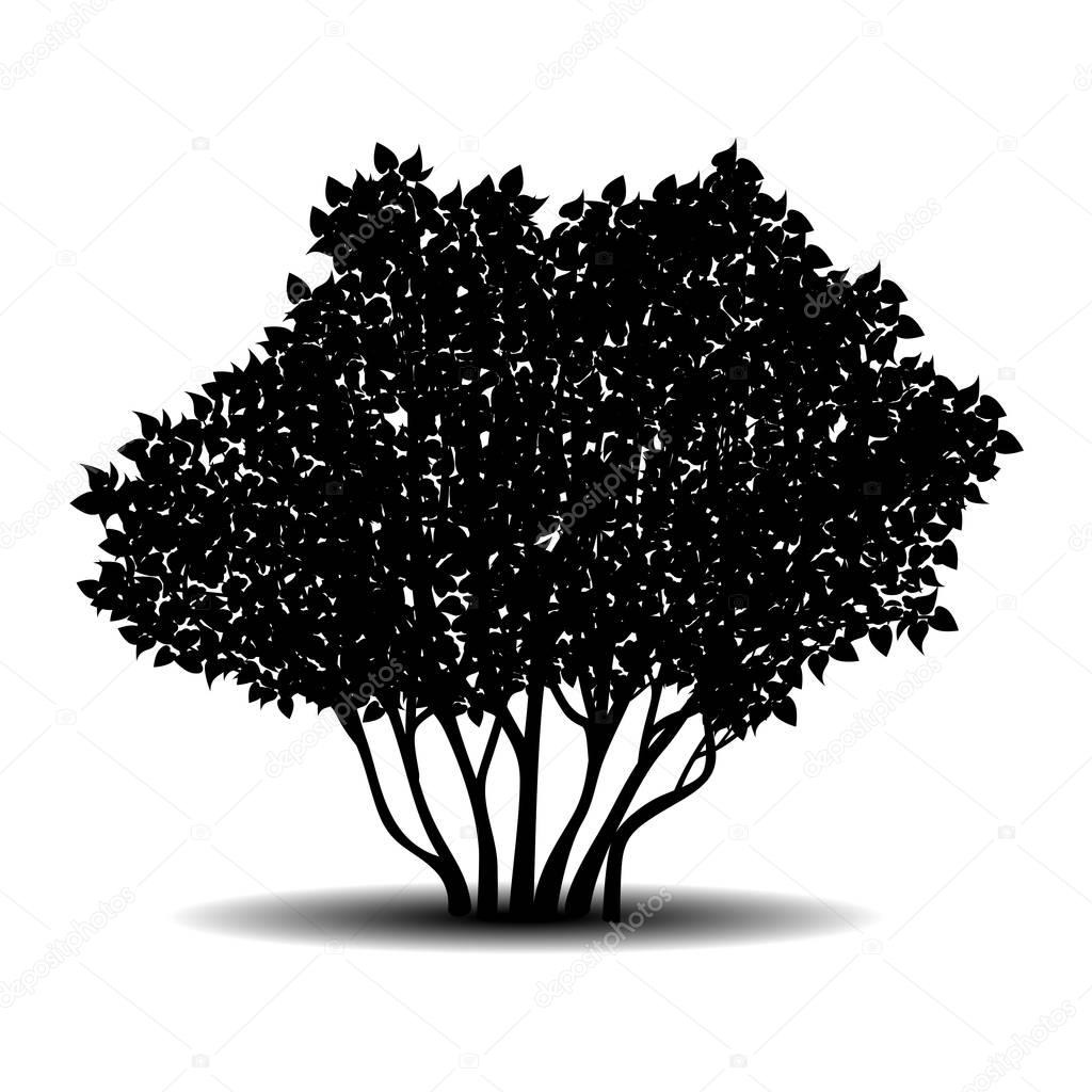 Silhouette bush with leaves and shadow — Stock Vector © M.Svetlana