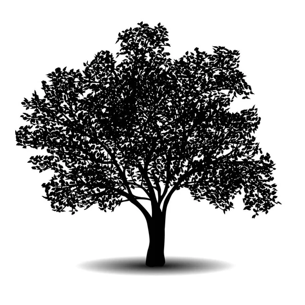 Silueta árbol separado con hojas — Vector de stock