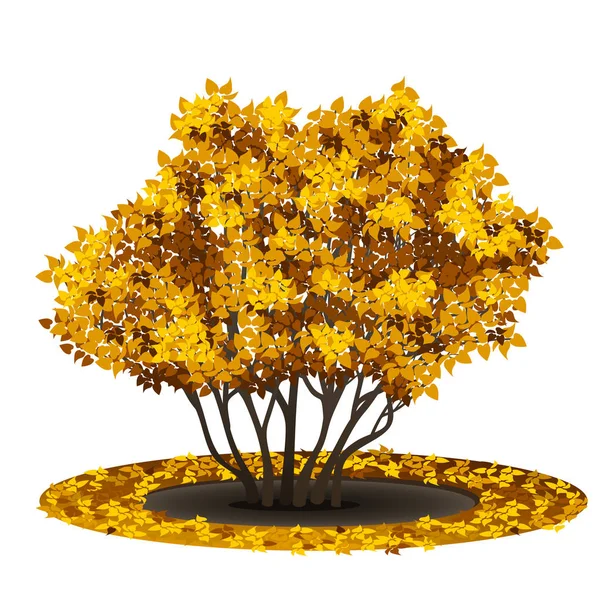 Arbusto con hojas amarillas y sombra — Archivo Imágenes Vectoriales