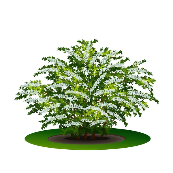 Bush met groene bladeren en bloemen — Stockvector
