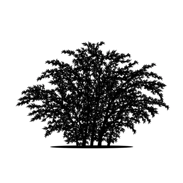 Cespuglio di silhouette con foglie e ombra — Vettoriale Stock