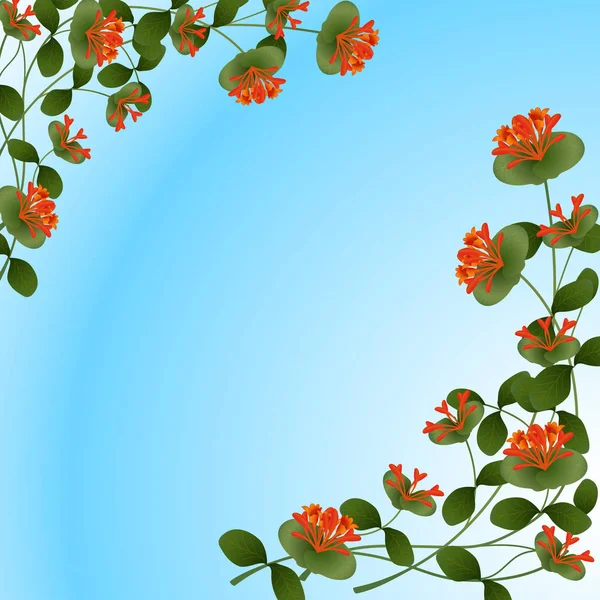 Caprifoglio 花和叶子的框架 — 图库矢量图片