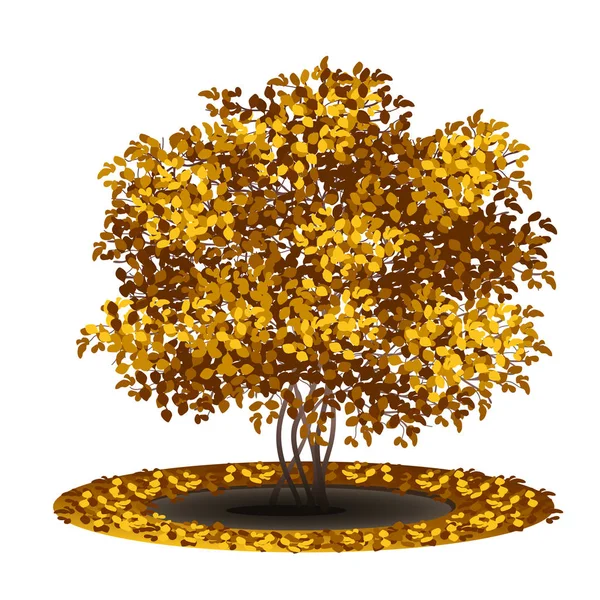 布什与黄色的树叶和阴影 — 图库矢量图片