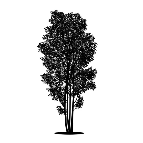 Buisson silhouette avec feuilles et ombre — Image vectorielle