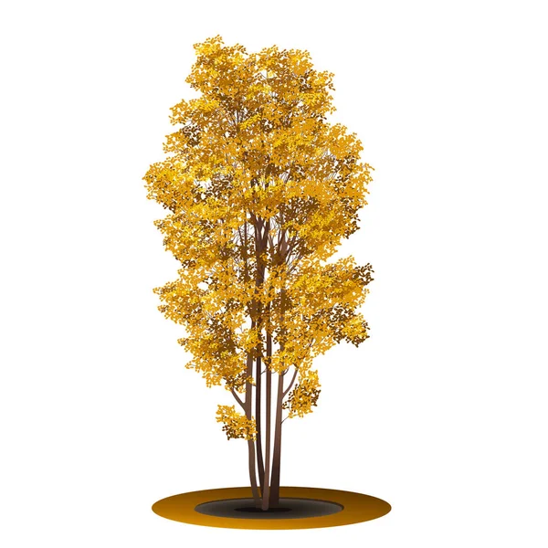 Arbusto con hojas amarillas y sombra — Vector de stock