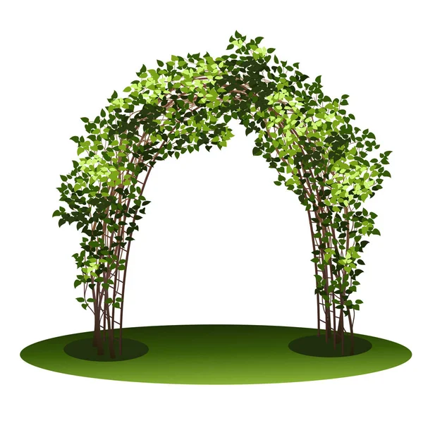 Oblouk s bush plaménkem a zelenými listy — Stockový vektor