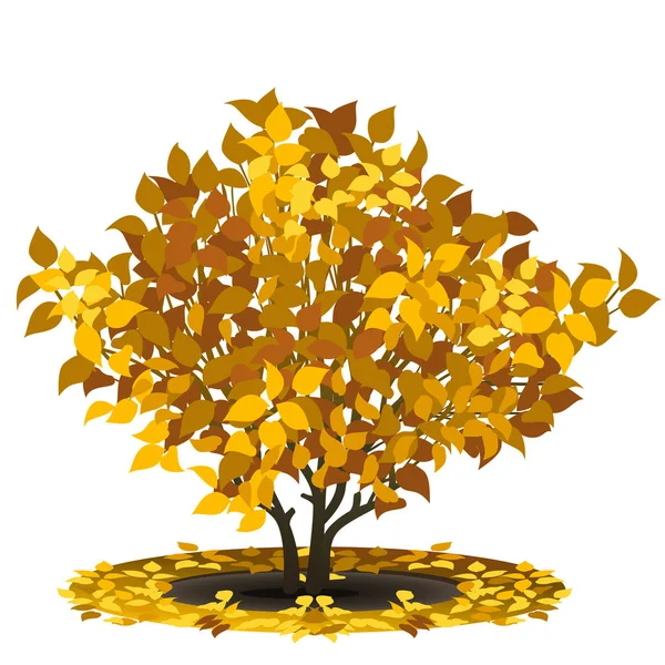 布什与黄色的树叶和阴影 — 图库矢量图片