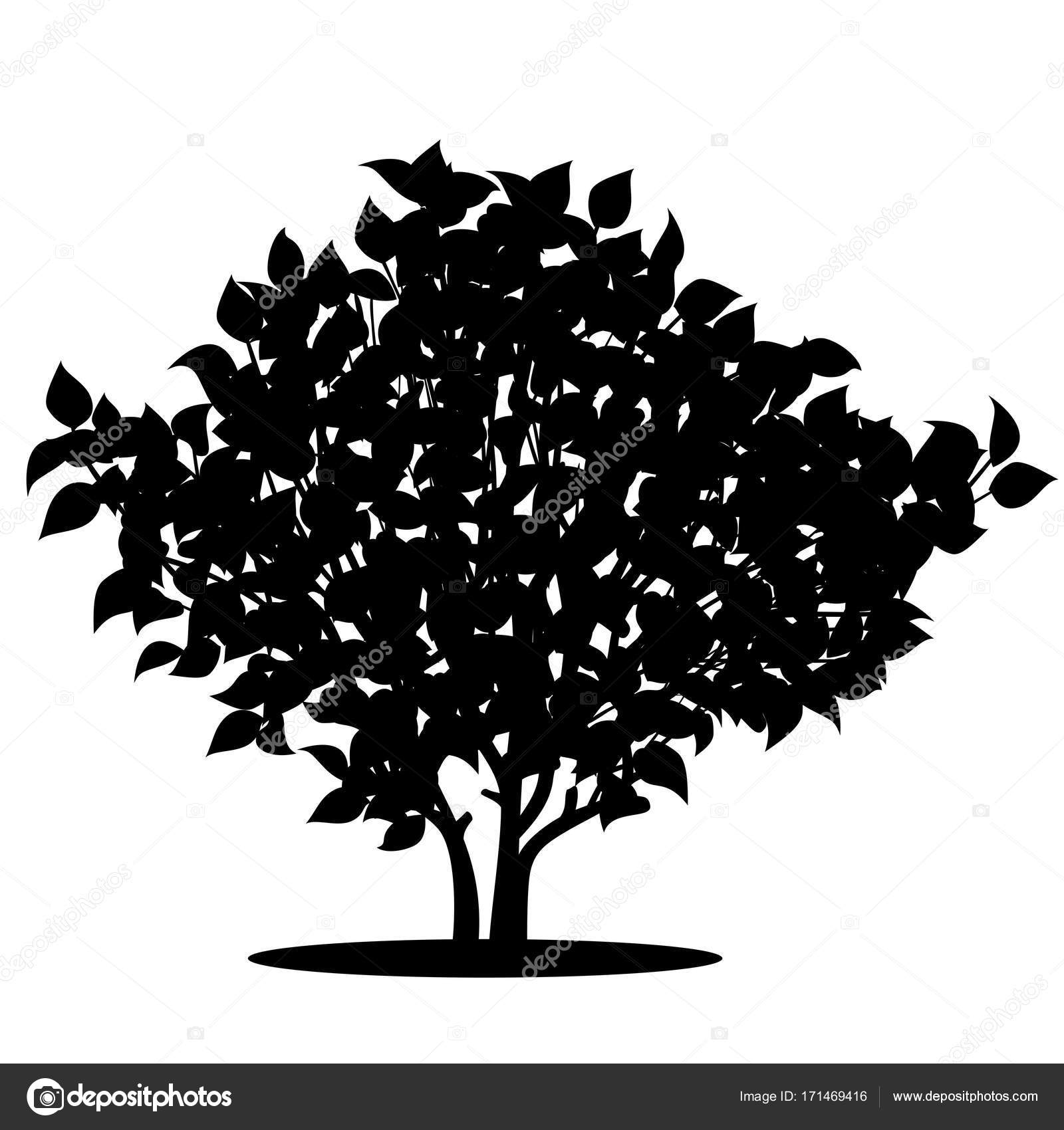 Silhouette bush with leaves and shadow Stock Vector M Silhouette bush with leaves and shadow Stock Vector M